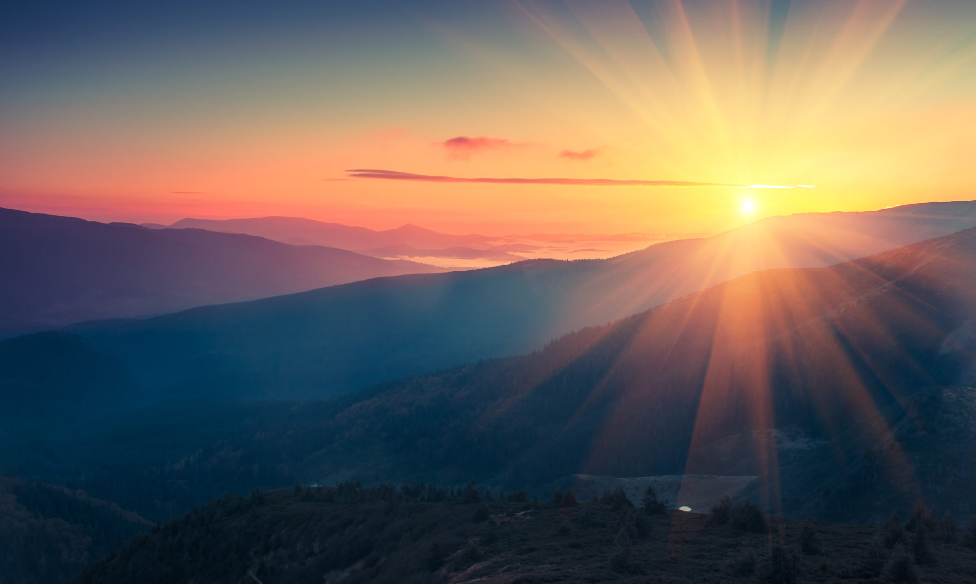 Emerging Into Light: Why Conversation Matters