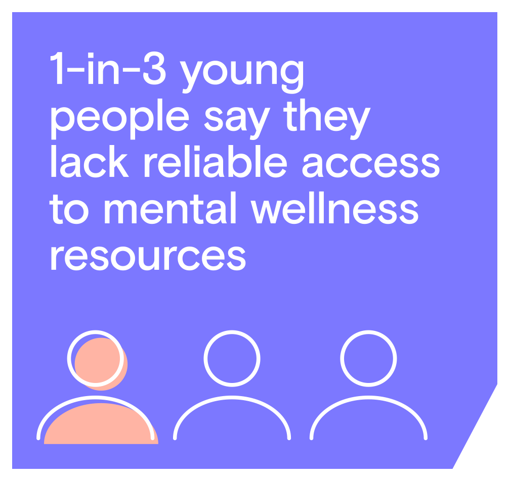 Youth Mental Health in America: Understanding Resource Availability and ...